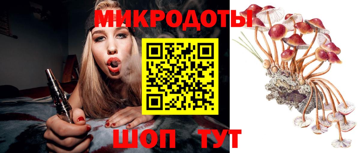 Горно-Алтайск  сколько стоит  Вход с VPN  Псилоцибиновые грибы MAGIC MUSHROOMS 