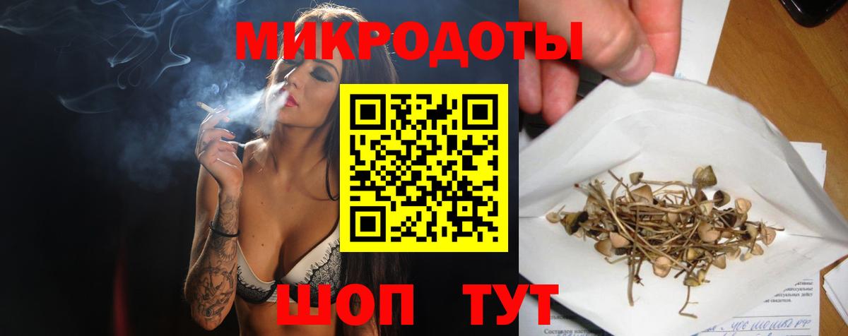 Псилоцибиновые грибы MAGIC MUSHROOMS Горно-Алтайск